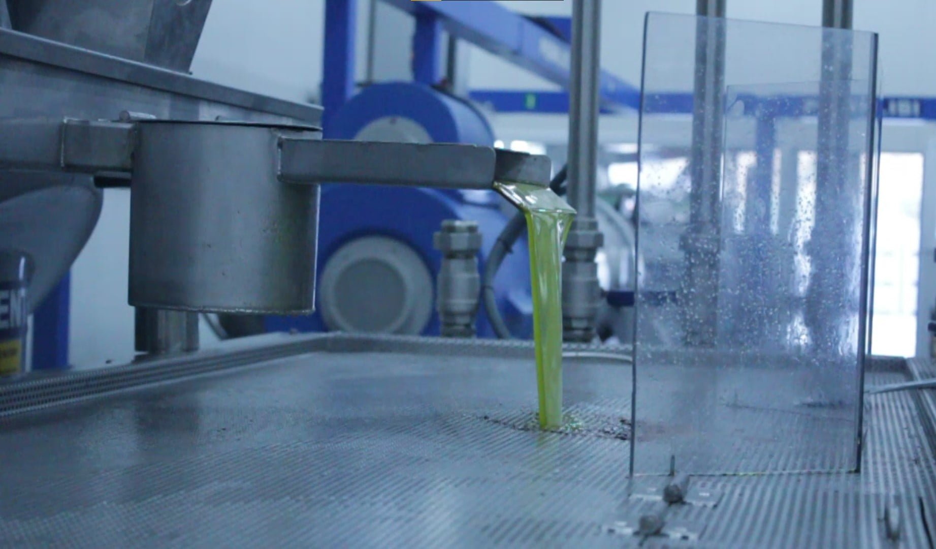 olive oil extraction olive's life